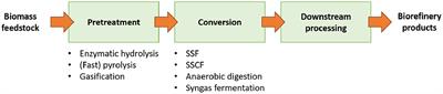 Modeling Biowaste Biorefineries: A Review